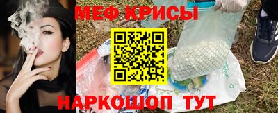 тгк Кингисепп