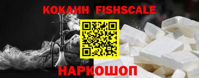 тгк Кингисепп