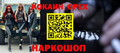 тгк Кингисепп