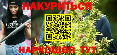 тгк Кингисепп