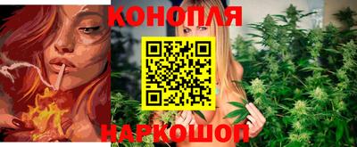 тгк Кингисепп
