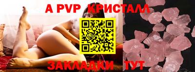 тгк Кингисепп