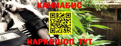 тгк Кингисепп