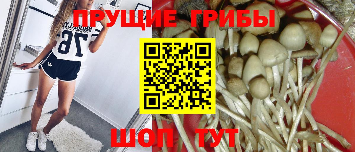 Галлюциногенные грибы прущие грибы Красноуфимск