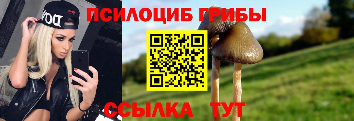 Псилоцибиновые грибы прущие грибы  Псилоцибиновые грибы GOLDEN TEACHER  Вход с VPN  Красноуфимск 